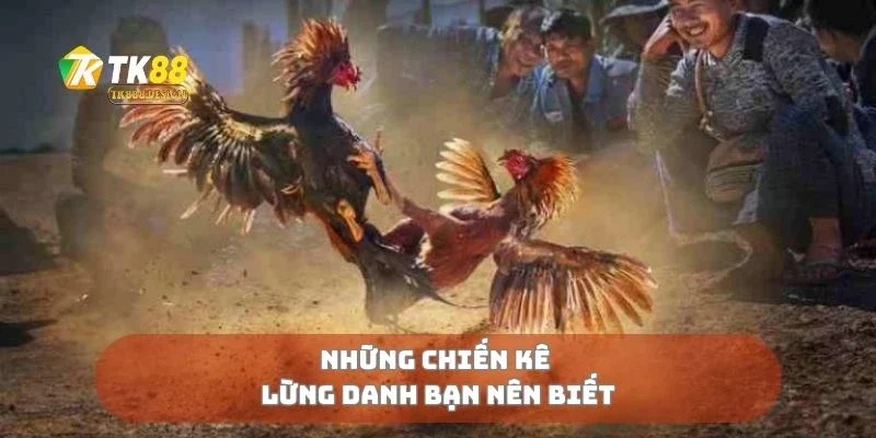 Những chiến kê lừng danh bạn nên biết