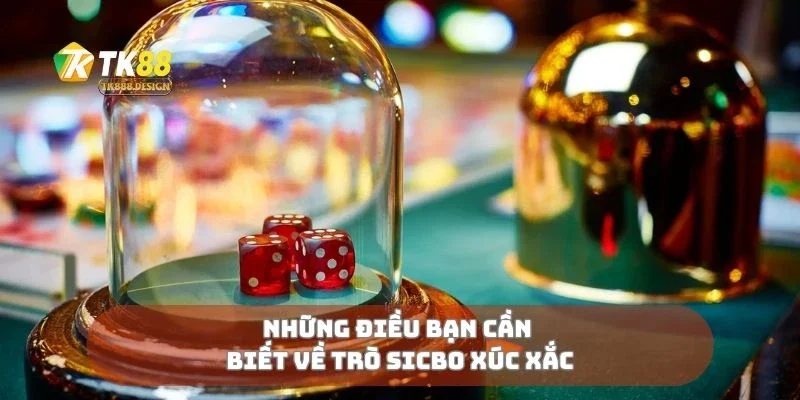 Sicbo Xúc Xắc Đặt Cửa Chuẩn, Thắng Lớn Từng Giây 1 Những điều bạn cần biết về trò sicbo xúc xắc