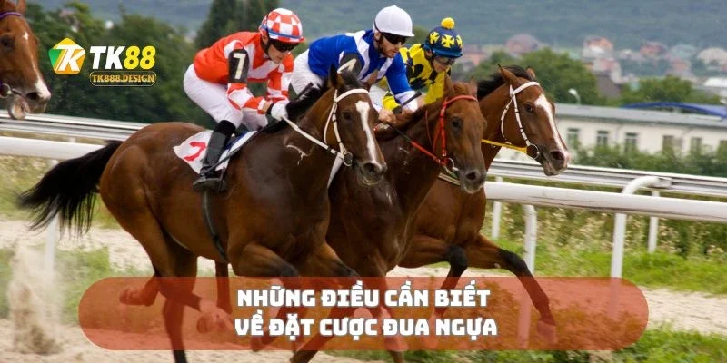 Đặt Cược Đua Ngựa Chiến Lược Thắng Cược Cho Người Chơi Mới 1 Những điều cần biết về đặt cược đua ngựa